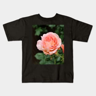 Spider inside the pink fragrant rose Kids T-Shirt